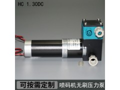 HC 1.30DCB.M美創(chuàng)立噴碼機無刷壓力泵,萊賓格壓力泵